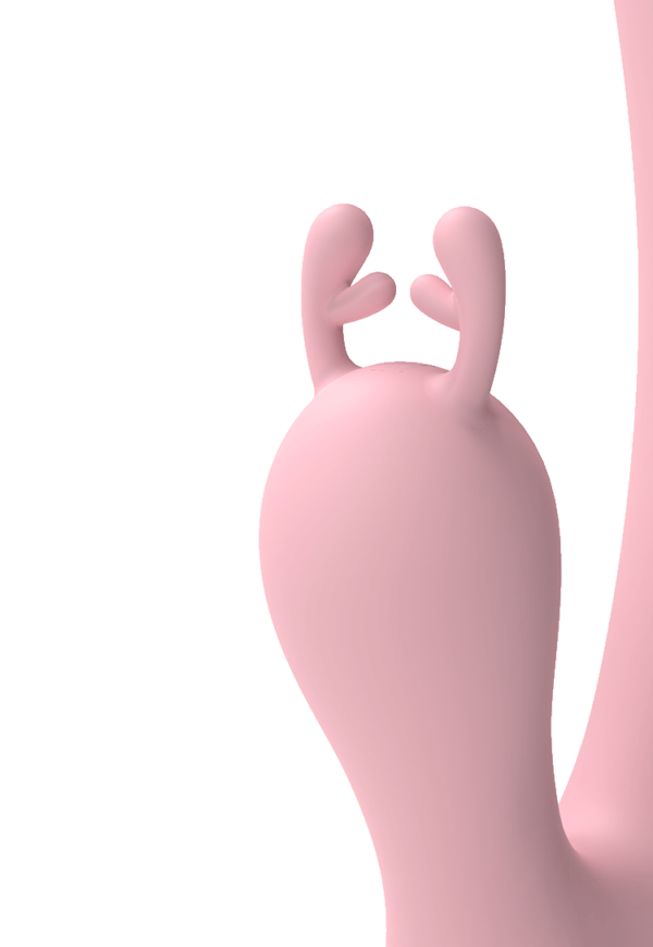 Deer - Image 4