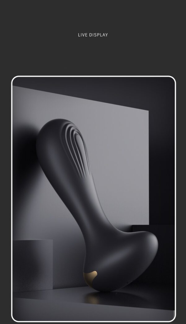 Set anal plug - Image 4